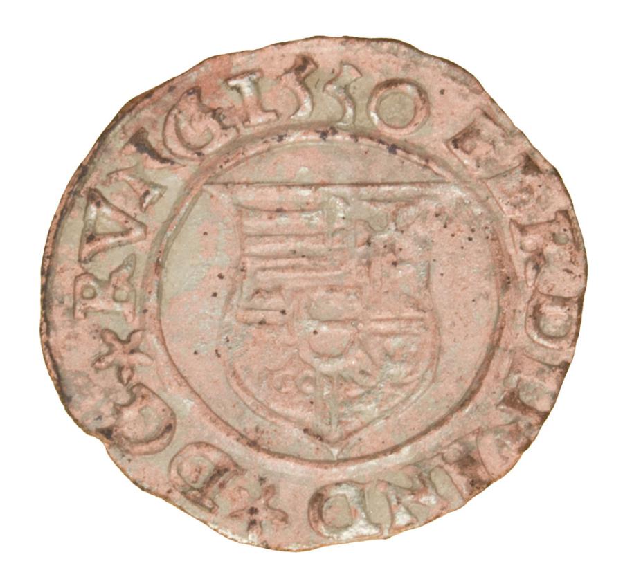 Denar 1555 Ferdynand I Habsburg Węgry