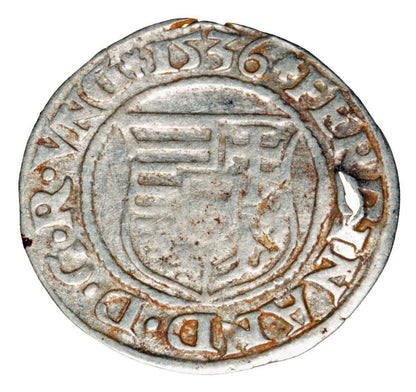 Denar 1536 Ferdynand I Habsburg Węgry Kremnica