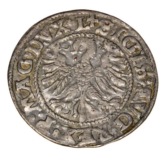 Półgrosz 1546 Zygmunt II August Litwa Wilno