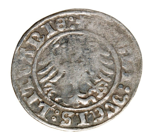 Półgrosz 1509 Zygmunt I Stary Litwa Wilno