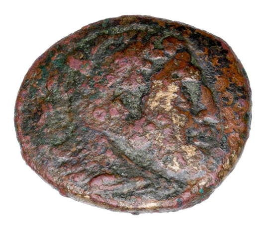 Brąz 305-298 p.n.e. Kassander Grecja Macedonia Herakles
